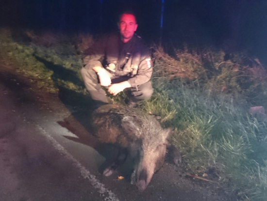 ...úhyn v práci...