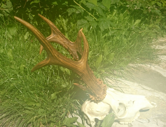 ...zatiaľ najsilnejší...