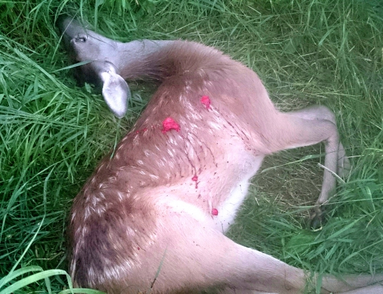 ...po strete s taxikárom...