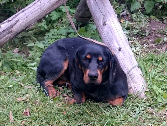 ...unavená po práci...