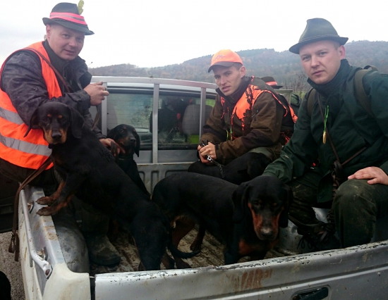 ...s kopovmi po pohone...