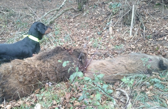 ...a už boli jej...