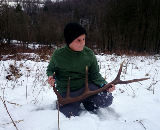 ...komu sa nelení, tomu sa paroží...