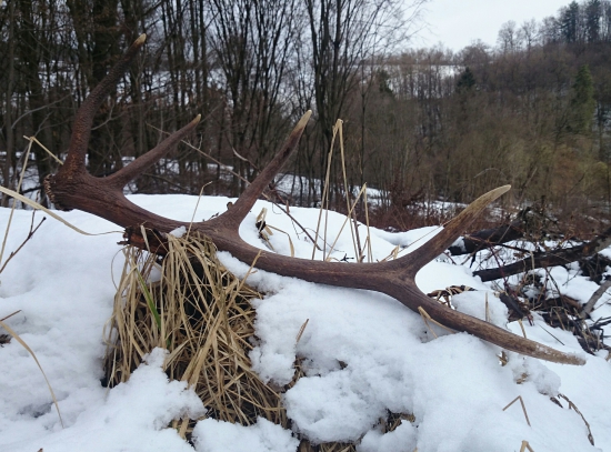 ...na veľký piatok...