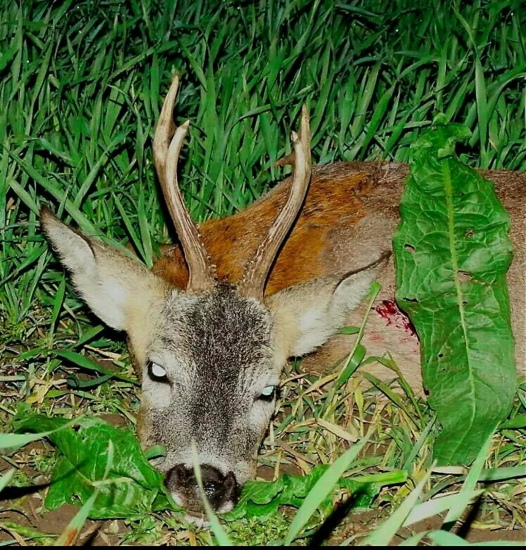 ...druhý úspešný večer...