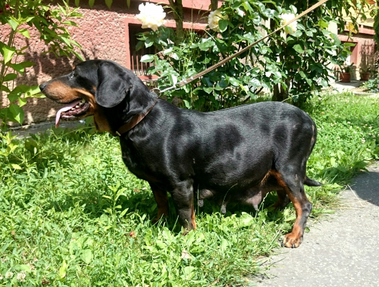 ...dnes 62 deň kotnosti...