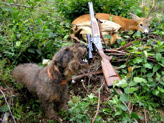 ...hlásil a hlásil...