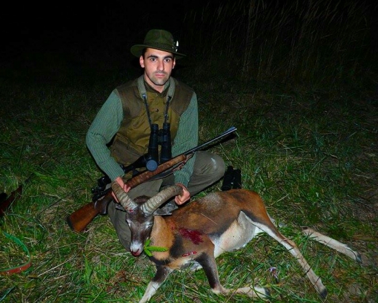 ...večerný muflonik...