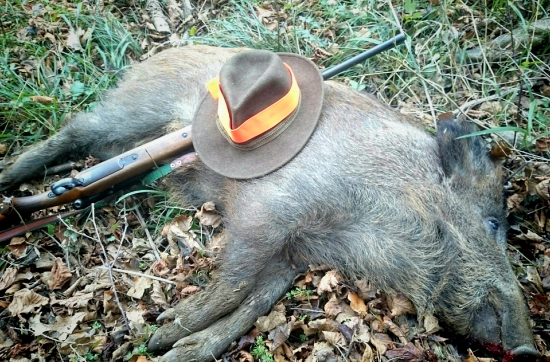 ...prišiel po horskom chodníku...