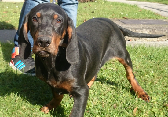 ...Edy z Uhlišťa vo veku 4 mesiace...