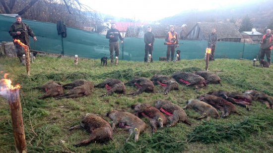 ...slušný to výrad...