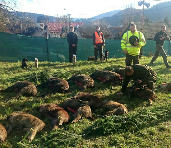 ...pasovanie za lovca diviakov...