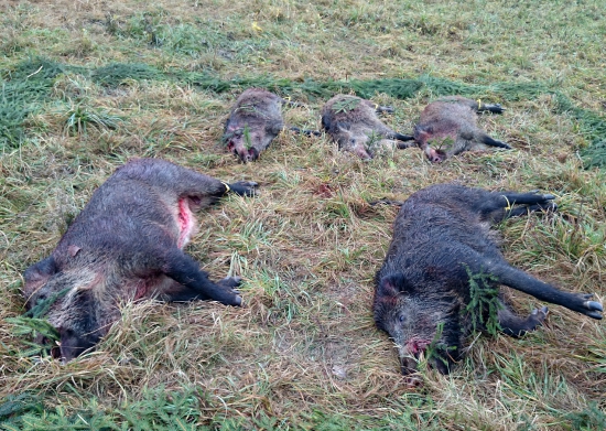 ...čierni rytieri...