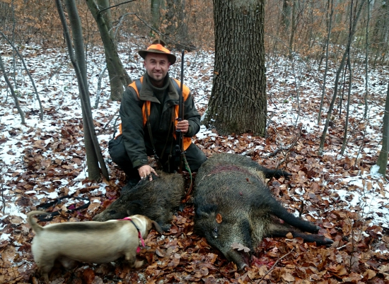 ...dva diviaky z pohonu...