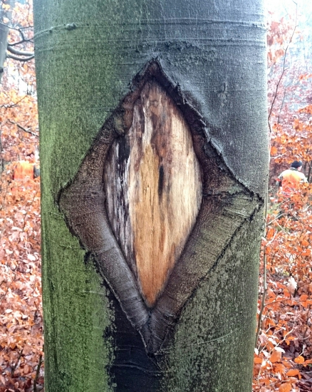 ...moja fotka č.700 je toto :-)...