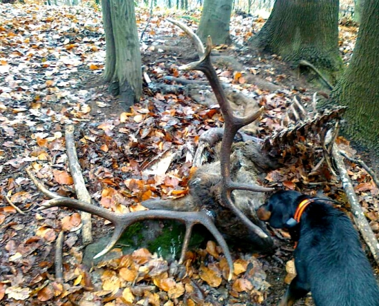 ...nájdený vďaka GPS...