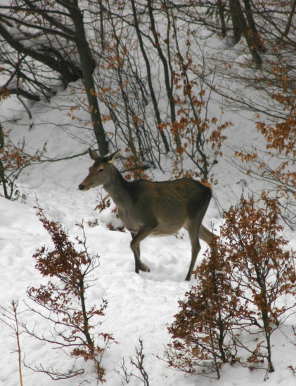 ...na ceste ku solisku...