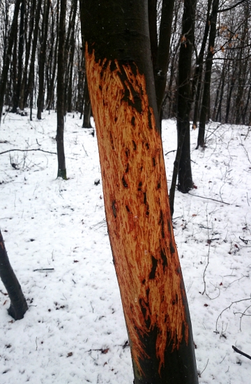 ...z čoho to môže byť??...