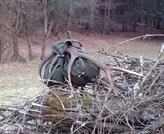 ...počkal na lúke...