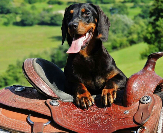 ...Fany z Uhlišťa...