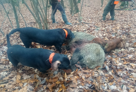 ...práca kopovov...