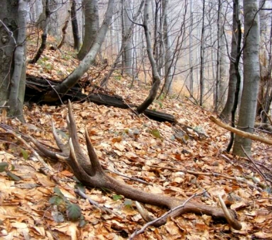 ...toto vždy poteší..