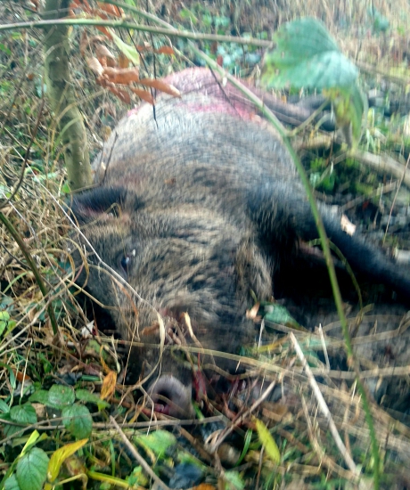 ...po dohľadaní...