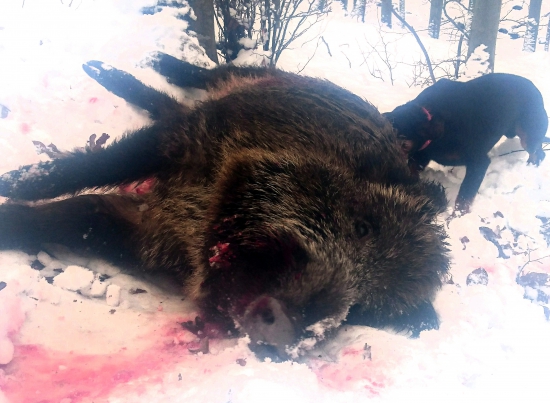 ...lepšie vzrúšo ako v spálni...