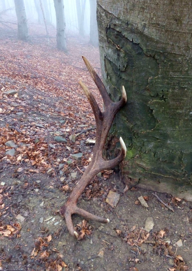 ...no tak to začína...