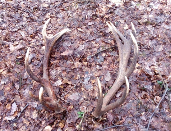 ...nohy boleli, ale stálo to za to...