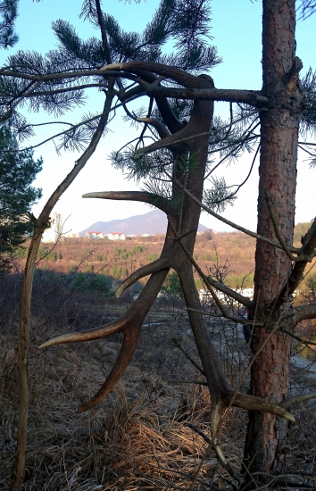 ...ani to dlho netrvalo...