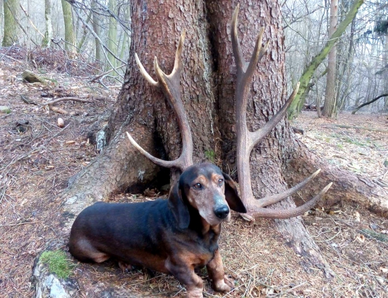 ...opäť úspešná prechádzka...