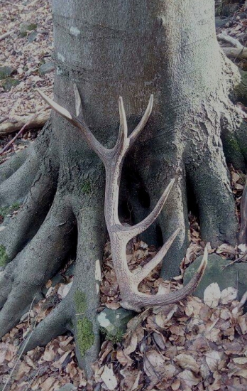 ...slušný kúsok...