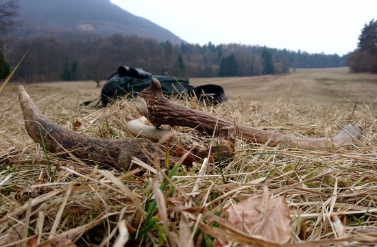 ...dnes 6841 krokov...