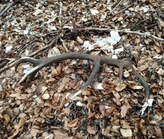 ...takto si ležal...