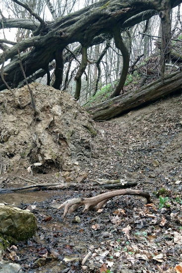 ...desiaty zhod z kaliska...