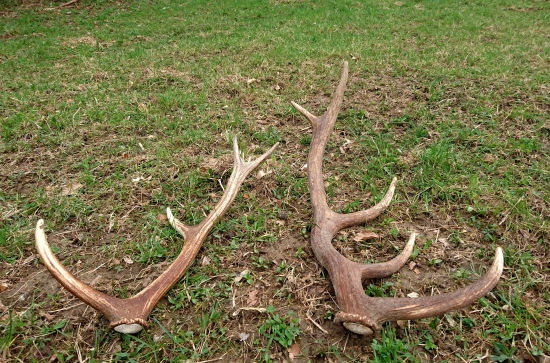 ...Tak šťastie nás neopúšťa...