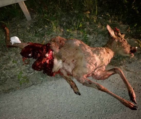 ...pozor na cestách...