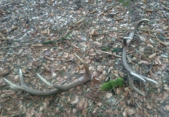 ...pekne spolu aj po zhodeni...