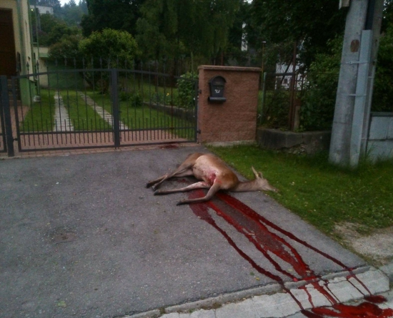 ...plot sa mu stal osudným...