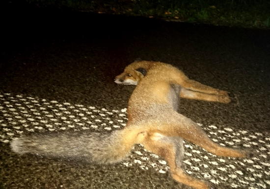 ...skončil pod kolesami...