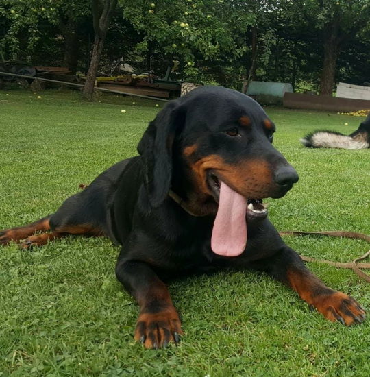 ...Fany z Uhlista...