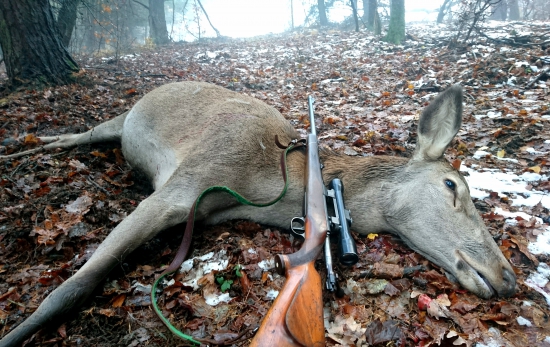 ...poľovačka na vysokú, prvá foto...