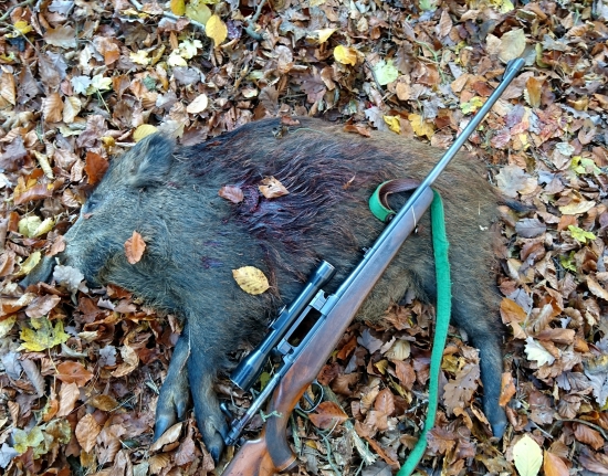 ...prasiatko z mokrej doliny....