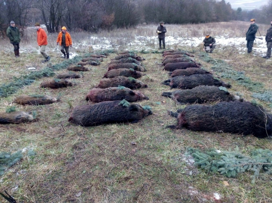 ...vzdanie pocty - výrad...