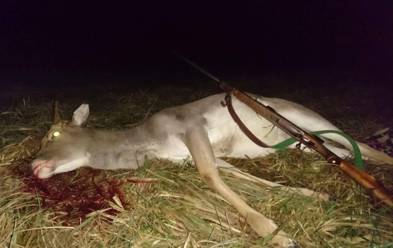 ...tak som sa stal lovcom danielov - prvý...