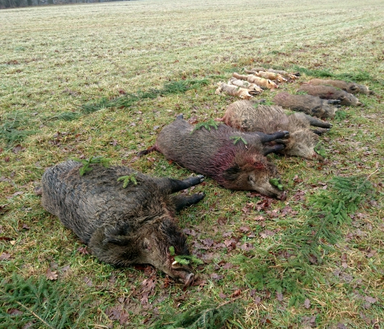 ...deň zavŕšený úspechom z lovu...