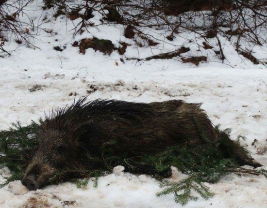 ...odmek, neodmek, šťastie chodí aj vtedy...