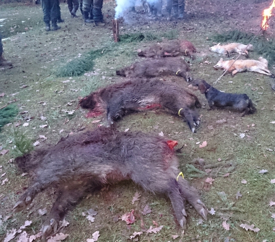 ...jeden z ďalších vyradov...