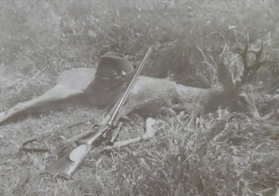 ...starého otca srnec...